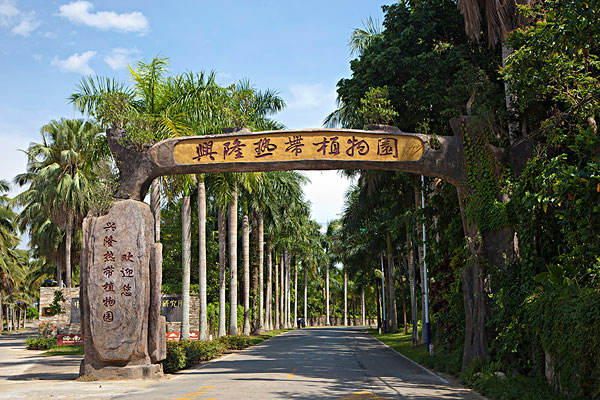 兴隆热带植物园1.jpg
